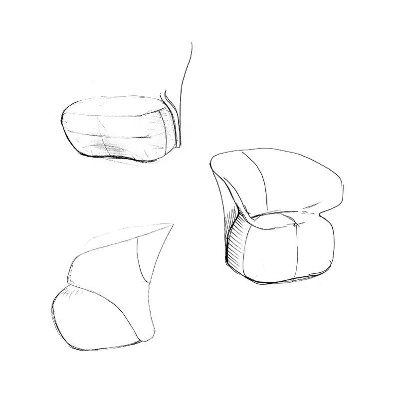 zanotta_news-from-design_arom-linguaggio-fiori_foto_2